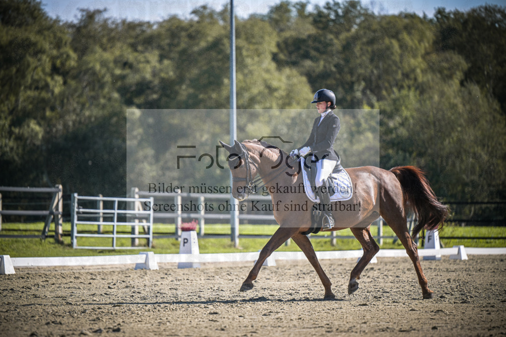 DOS_2927 | Entdecke hochwertige Reitturnierfotos von Foto Oger. Professionell, emotional und authentisch – jetzt Lieblingsmomente im Shop bestellen.Deutschlandweite Turnierfotografie. - Realisiert mit Pictrs.com