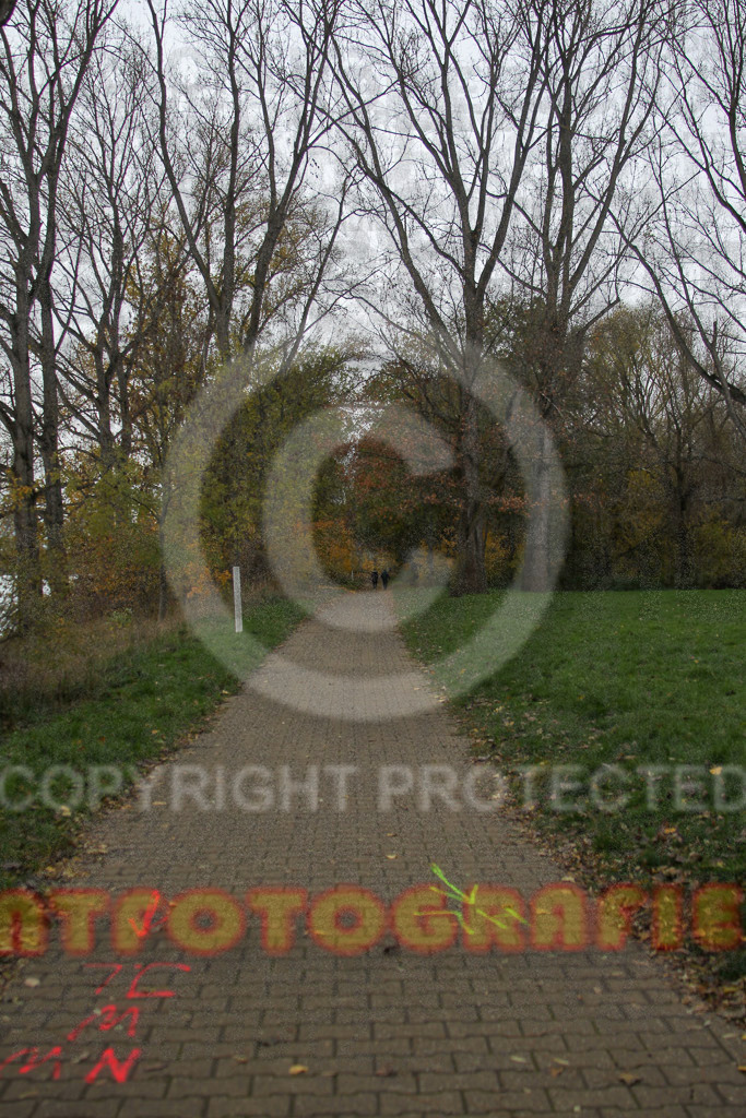221127_1030_EV4_1694 | Sportfotografie im Rhein-Sieg Kreis, Köln, Bonn, NRW, Rheinland Pfalz, Hessen, etc. Unser Tätigkeitsfeld umfasst den Laufsport vom Volkslauf über den Marathon, Duathlon, Triathon bis zum Ultralauf wie Kölnpfad Ultra oder Schindertrail.