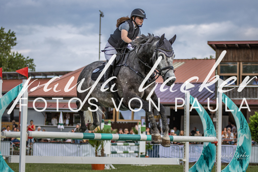 IMG_7751 | Erleben Sie dynamische Sport- und emotionale Tierfotografie in Süddeutschland mit Fotos von Paula. Spezialisiert auf Pferde- und Hundefotografie sowie Sportevents. Kontaktieren Sie mich für einzigartige und ausdrucksstarke Bilder Ihrer besonderen Momente. - Realisiert mit Pictrs.com
