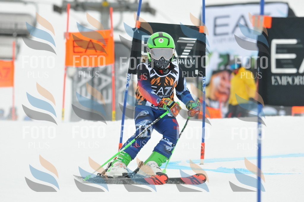 DSC_7916 | holidayphoto