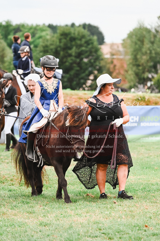 DSC_7381 | Pferde- und Turnierfotografie in Westsachsen. Pferdeportraits, Auftragszeichnungen und intuitive Kunst.