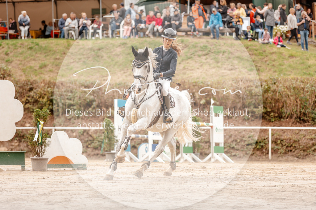3I6A8121 | Stimmungsvolle Portraits und Reitsportfotografie im Ruhrgebiet und im Münsterland.

Pferdefotografie, Hundefotografie, Tierfotografie, Reportagen, Portraits von Tier und Mensch, Turnierfotografie in Bochum, Recklinghausen, Marl, Haltern am See, Dülmen.. - Realisiert mit Pictrs.com