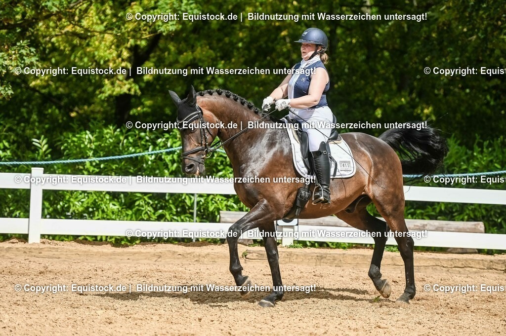 20230715_02_Dressurreiterprüfung Kl.L_0377 | equistock