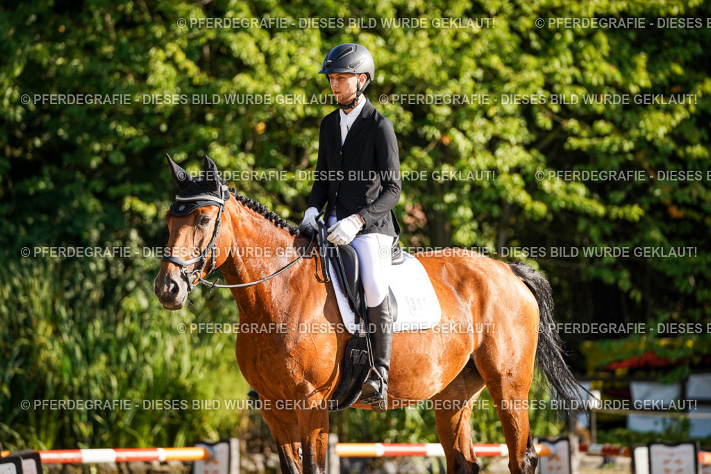 DSC08464 | Pferdegrafie