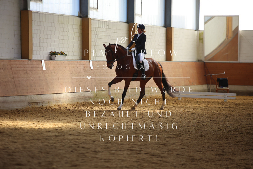 IMGT7015 | pl-fotografie