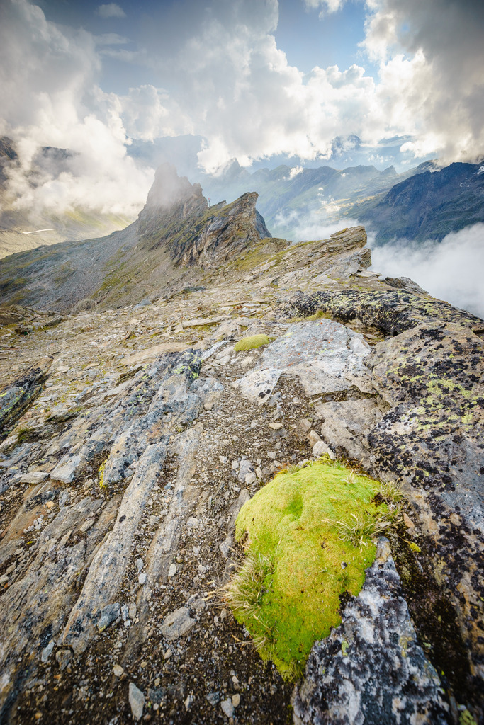 _DSC9926 | Baumgartner Markus Fotografie