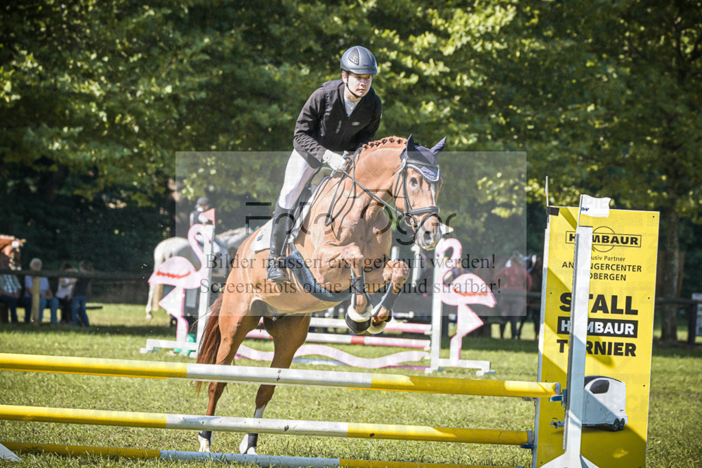 DOS_0029 | Entdecke hochwertige Reitturnierfotos von Foto Oger. Professionell, emotional und authentisch – jetzt Lieblingsmomente im Shop bestellen.Deutschlandweite Turnierfotografie. - Realisiert mit Pictrs.com