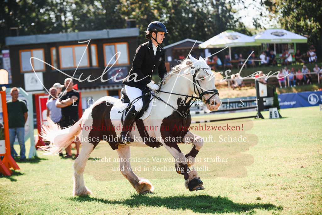 DSC_2590 | Pferde- und Turnierfotografie in Westsachsen. Pferdeportraits, Auftragszeichnungen und intuitive Kunst.