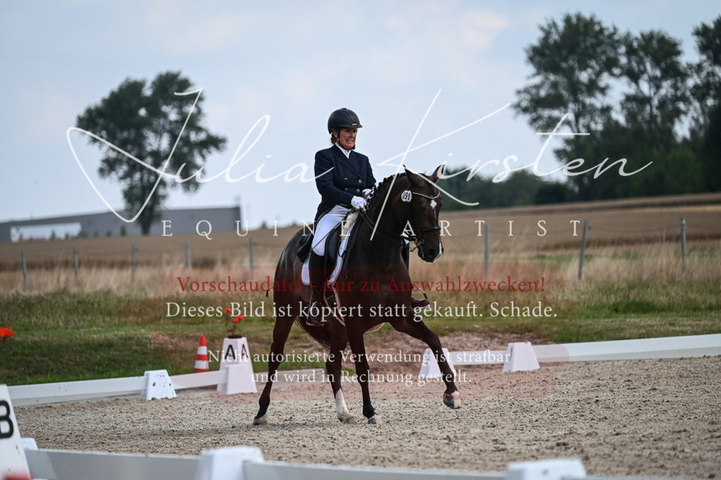 DSC_2269 | Pferde- und Turnierfotografie in Westsachsen. Pferdeportraits, Auftragszeichnungen und intuitive Kunst.