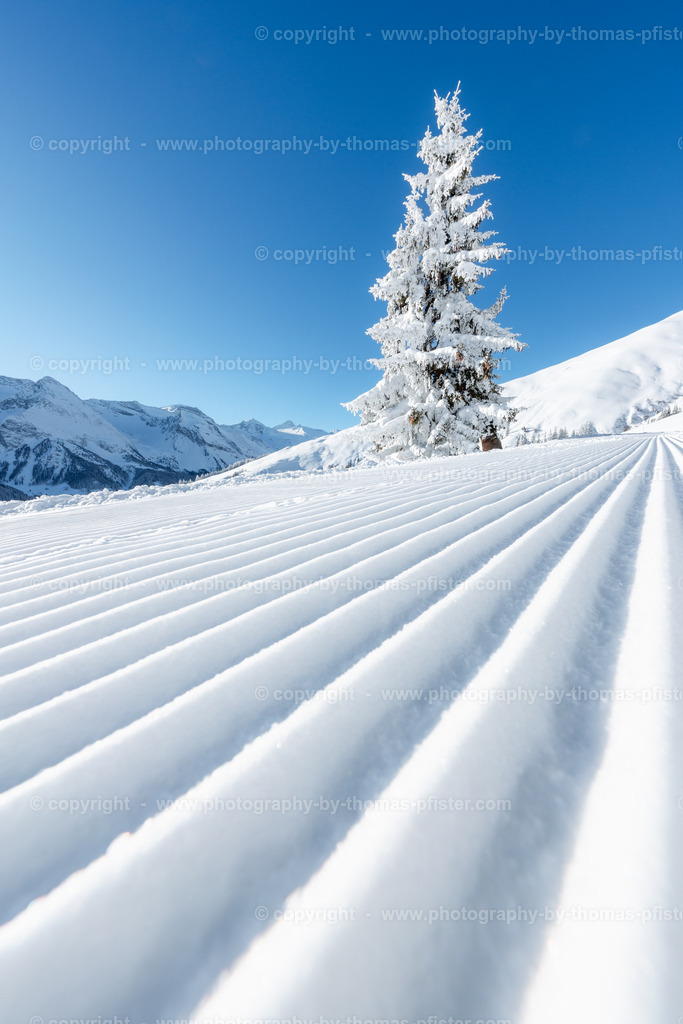 Eggalm Winterwanderweg copyright  Thomas Pfister-5 | PHOTOGRAPHY BY THOMAS PFISTER