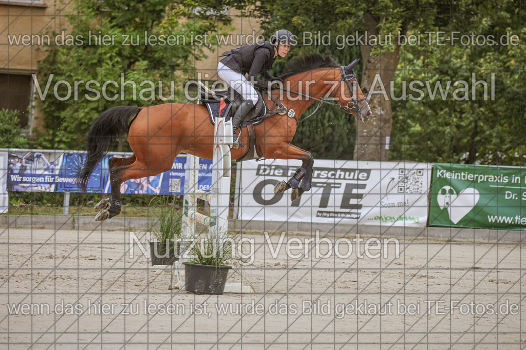 2025-09-22_09-35-36_MG_3785 | TE-Fotos