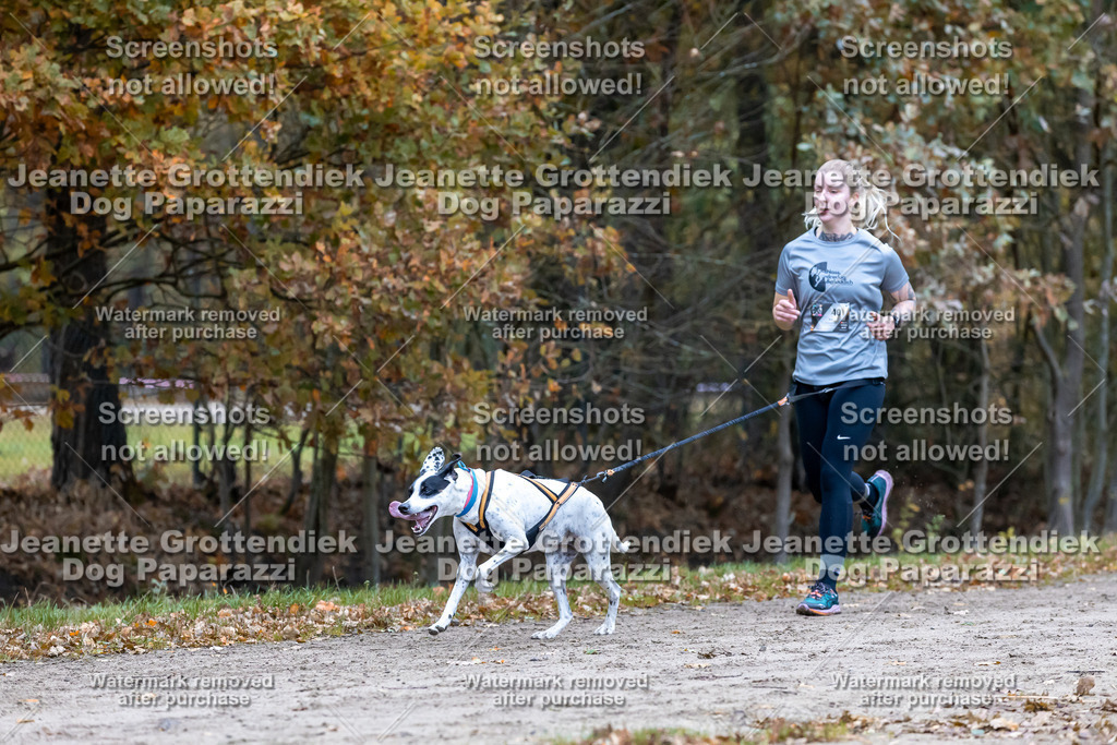 Dog Paparazzi - SD CaniX Championship 2025-311 | Dog Paparazzi Jeanette Grottendiek Fotografie & Videografie - Realisiert mit Pictrs.com