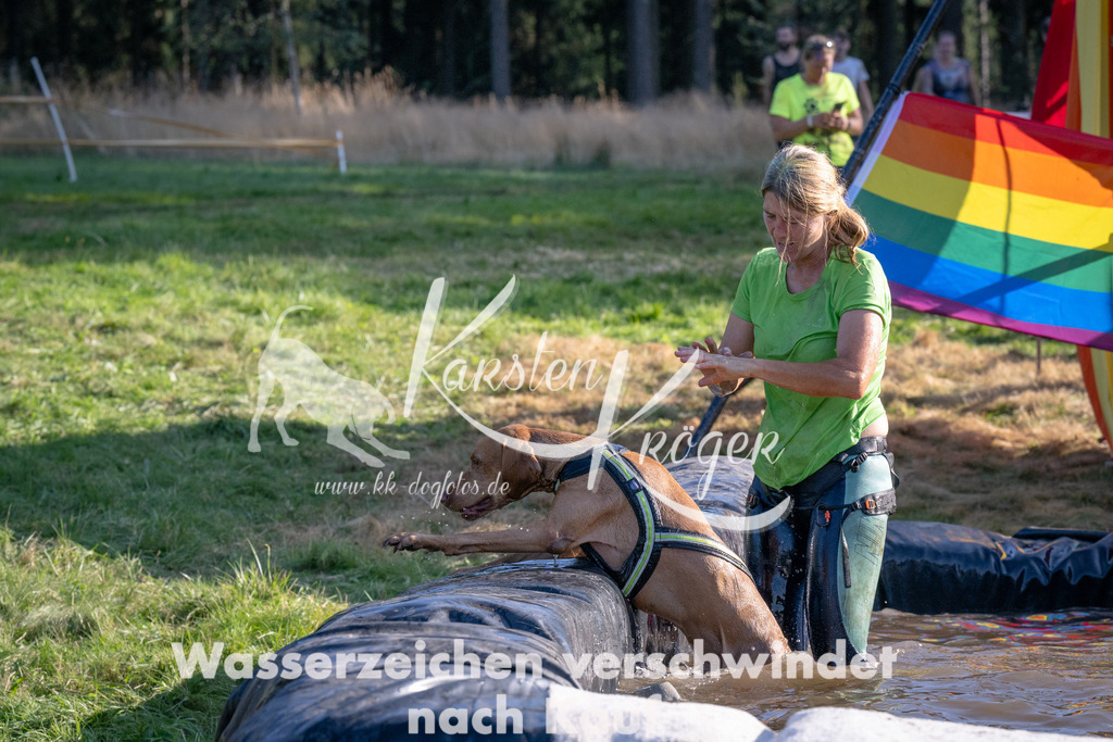 1721_ZZ94938 | kk-dogfotos