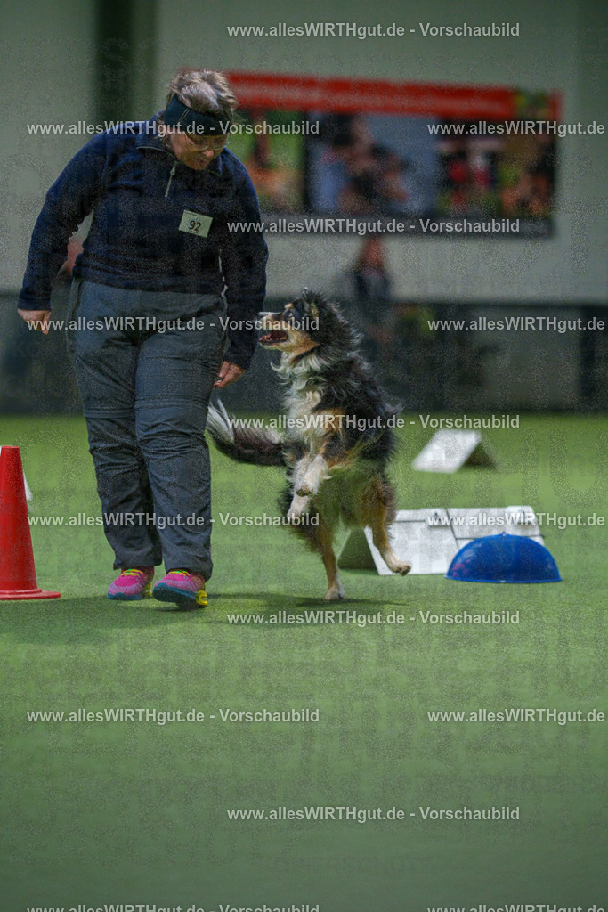 7R504299 | Professionelle Tierfotografie in Mönchengladbach von Daniel Wirth (allesWIRTHgut). Liebevolle & natürliche Bilder von Hunden & Katzen für unvergessliche Erinnerungen.