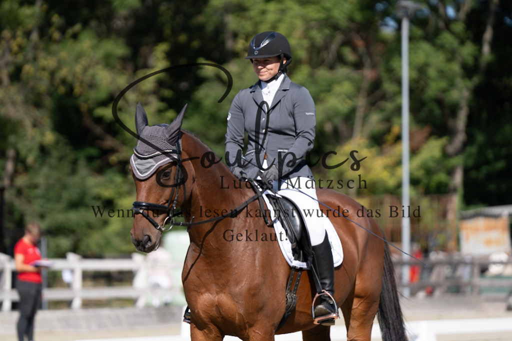 A7V07032 | Pferdefotograf