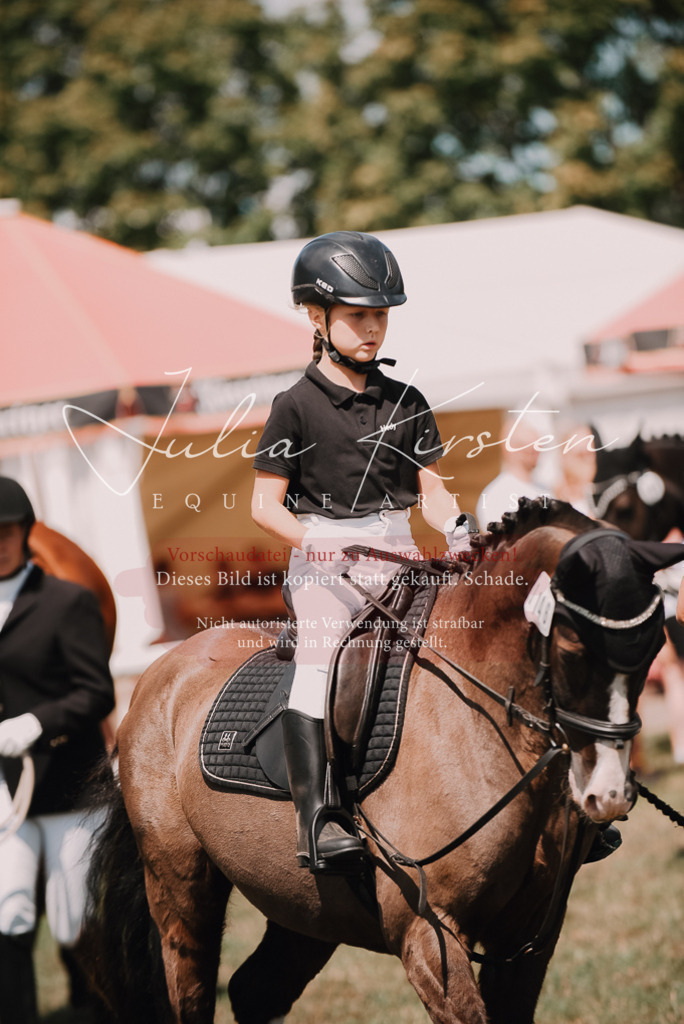 DSC_6107 | Pferde- und Turnierfotografie in Westsachsen. Pferdeportraits, Auftragszeichnungen und intuitive Kunst.