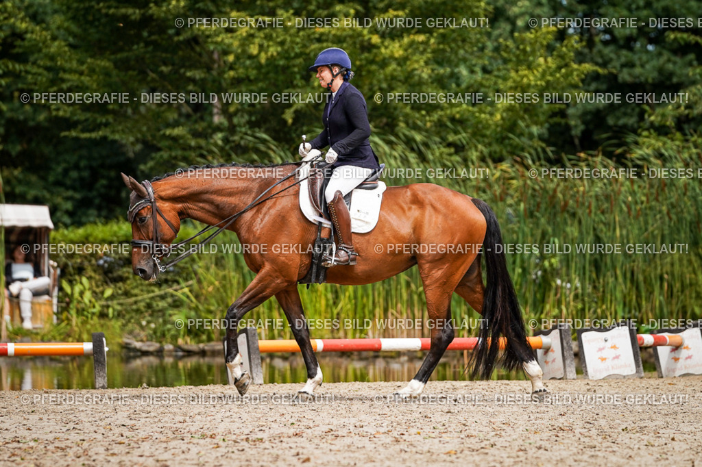 DSC03302 | Pferdegrafie