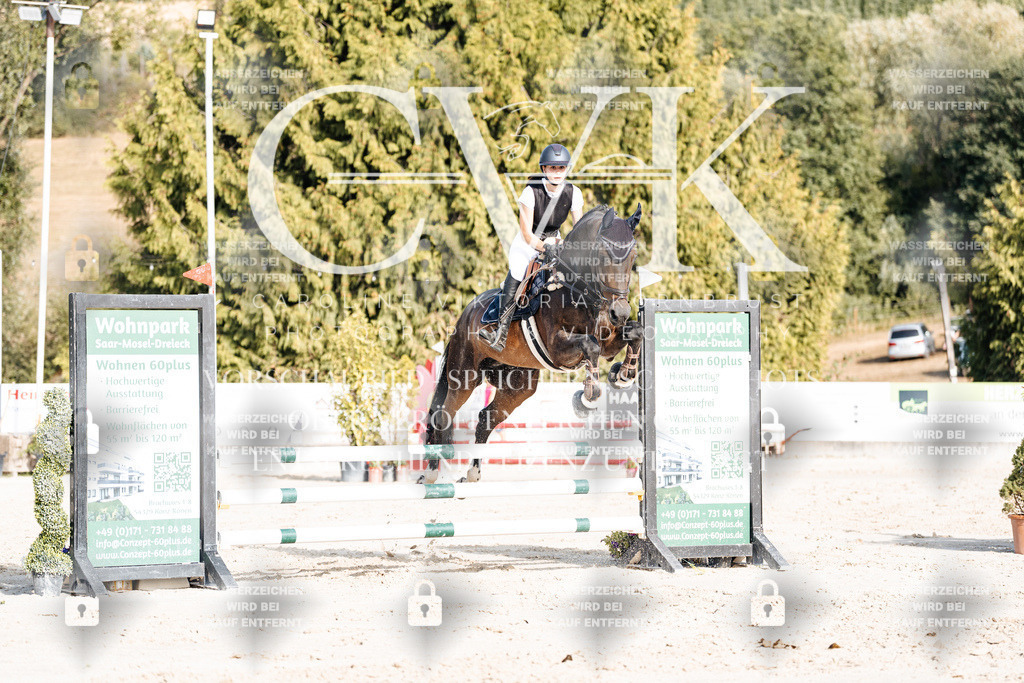CK909387 | Turnierfotografie Pferdefotografie Trier Rheinland-Pfalz Pferdesport Reitsport Tierfotografie Sportfotografie Pferdevideo Pferdevideografie Equestrianvideography equestrianphotography  - Realisiert mit Pictrs.com