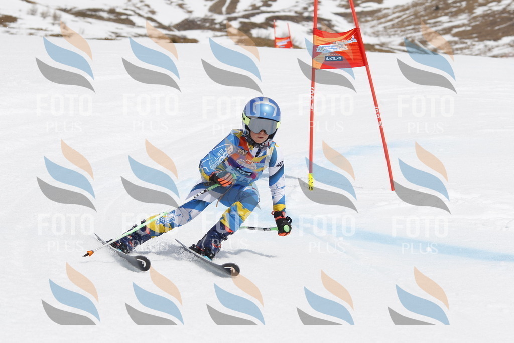 _U3G2302 | holidayphoto