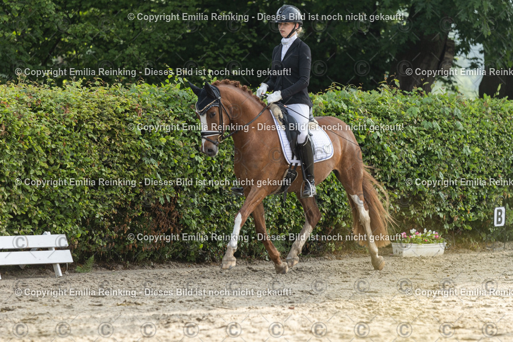 CL5A3390 | Emilia Reinking Fotografie - Realisiert mit Pictrs.com