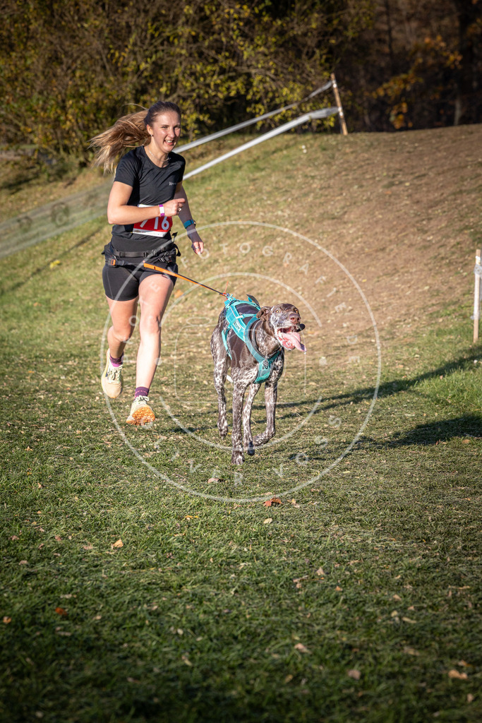 CaniXpix_0L8A9651 | Hundefotografie, Tierfotograf, Pfotenfotografie, Fotoshooting Hund, Hunde Portrait, Hundesport, Hundeportraits, Heideshooting, Hunde, Sportfotograf, Hundefotograf, Turnierhundsport, THS,  - Realisiert mit Pictrs.com
