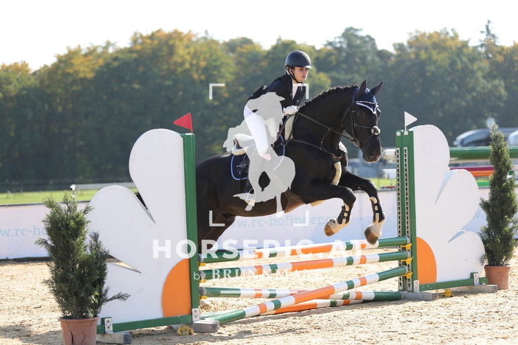 0P6A8027 | Willkommen bei Brunnmayr - Design & Fotografie – Ihrem Spezialisten für Reitturniere und Pferdeveranstaltungen in Oberösterreich, Salzburg und Bayern! Seit über 17 Jahren sind wir leidenschaftlich dabei.