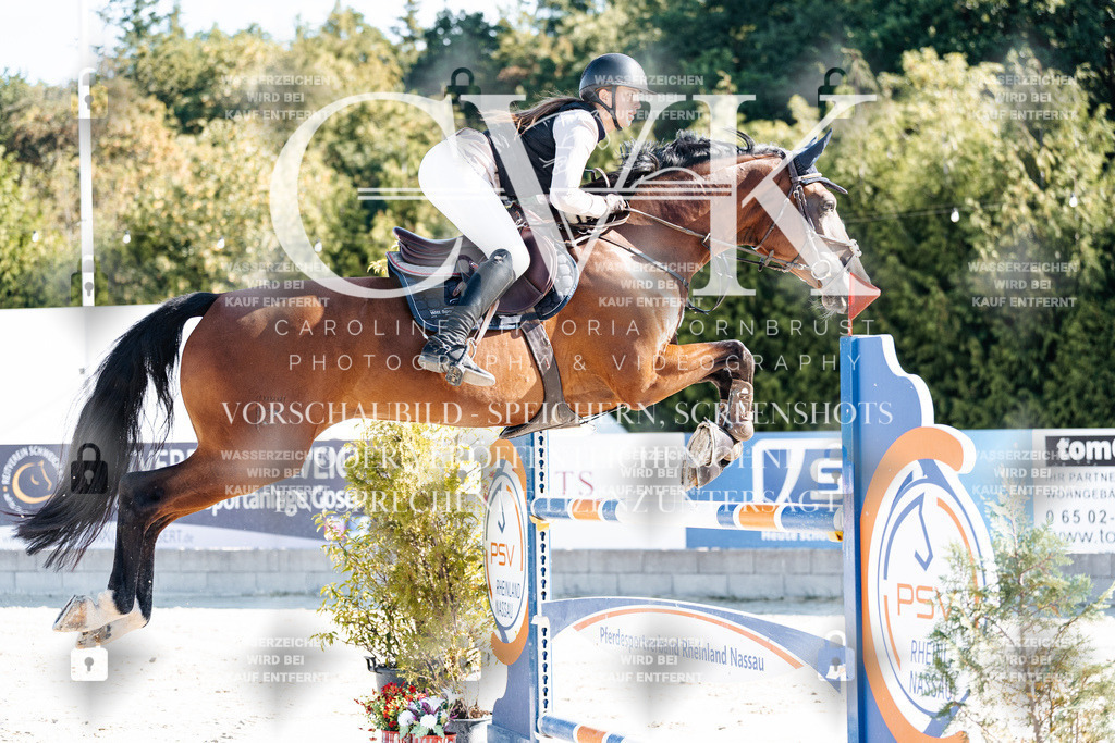 CK904578 | Turnierfotografie Pferdefotografie Trier Rheinland-Pfalz Pferdesport Reitsport Tierfotografie Sportfotografie Pferdevideo Pferdevideografie Equestrianvideography equestrianphotography  - Realisiert mit Pictrs.com