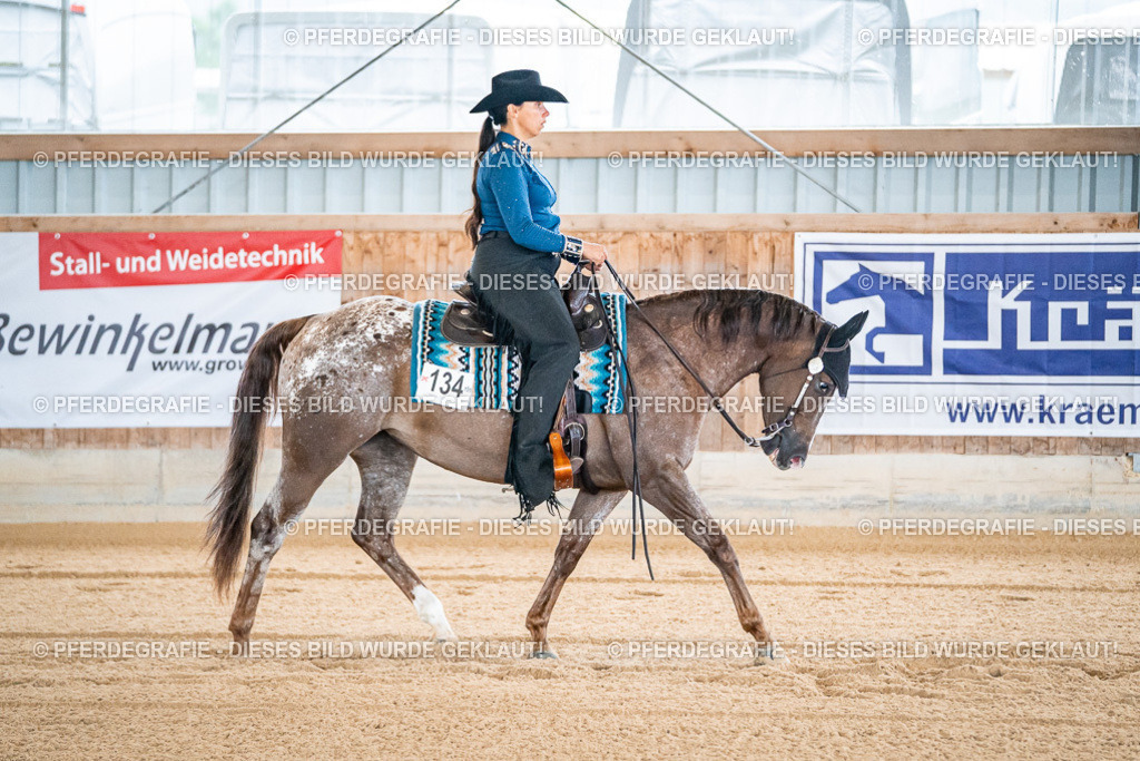 DSC01222 | Pferdegrafie