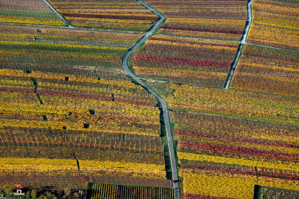 3905316 | Weinbergslandschaft an der Mainschleife bei Escherndorf und Nordheim
