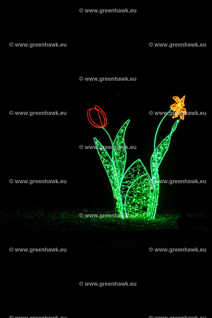 _MG_0222 | Greenhawks Bilder Shop für Landschaften, Urban, Tiere und weiteres als Poster Leinwand oder Fotogeschenk für Ostern Weihnachten oder Geburtstag  - Realisiert mit Pictrs.com