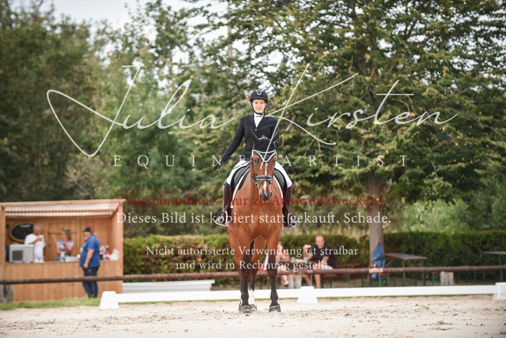DSC_8101 | Pferde- und Turnierfotografie in Westsachsen. Pferdeportraits, Auftragszeichnungen und intuitive Kunst.