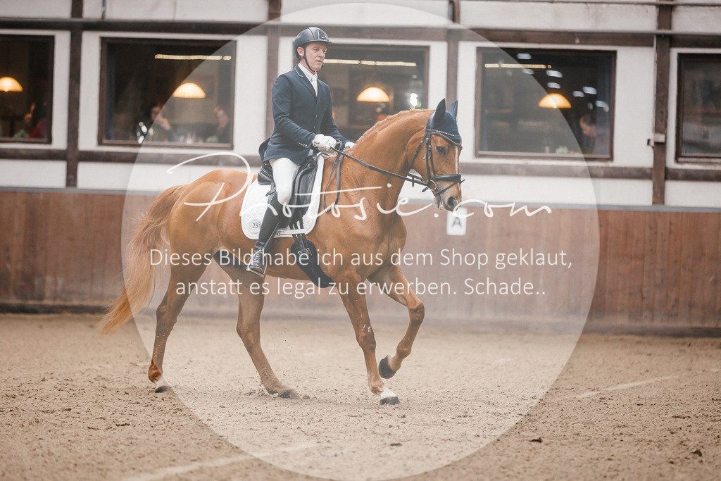 3I6A6395 | Stimmungsvolle Portraits und Reitsportfotografie im Ruhrgebiet und im Münsterland.

Pferdefotografie, Hundefotografie, Tierfotografie, Reportagen, Portraits von Tier und Mensch, Turnierfotografie in Bochum, Recklinghausen, Marl, Haltern am See, Dülmen.. - Realisiert mit Pictrs.com