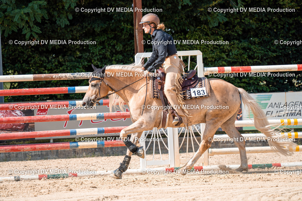 ZH100307 | dv-media-shop - Realisiert mit Pictrs.com