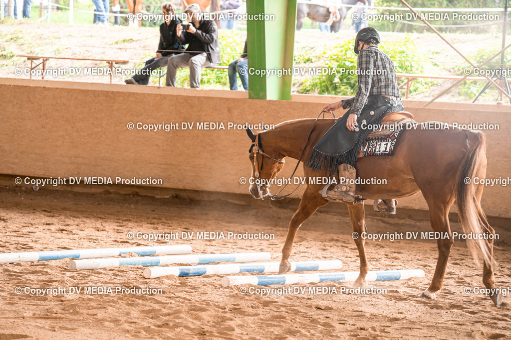 BA400849 | dv-media-shop - Realisiert mit Pictrs.com