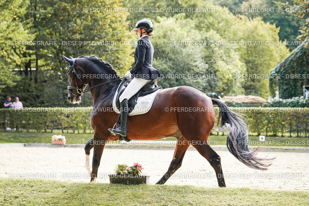 DSC08920 | Pferdegrafie