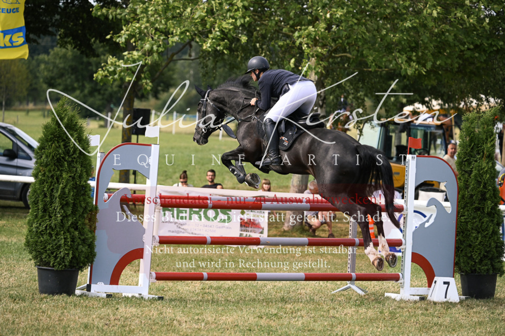 DSC_0826 | Pferde- und Turnierfotografie in Westsachsen. Pferdeportraits, Auftragszeichnungen und intuitive Kunst.