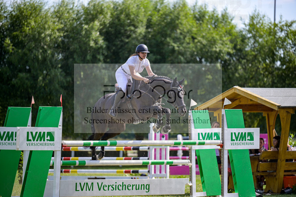 Reitturnier Voxtrup | Entdecke hochwertige Reitturnierfotos von Foto Oger. Professionell, emotional und authentisch – jetzt Lieblingsmomente im Shop bestellen.Deutschlandweite Turnierfotografie. - Realized with Pictrs.com