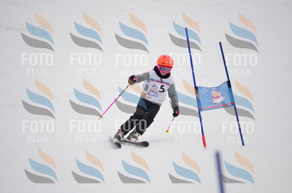 C0300 | holidayphoto