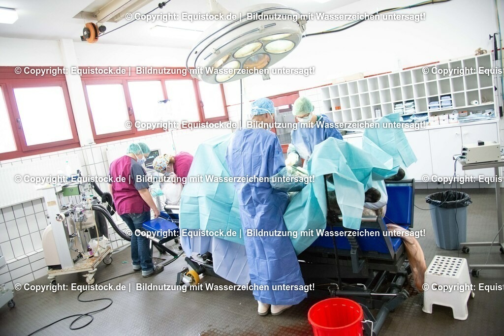 20191022_Kolik_OP_0114 | equistock