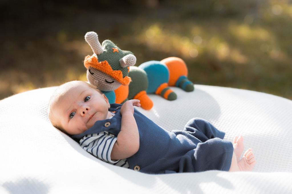 ZD260823180253 | Fotoshop von zweidimensional Fotografie. Ihr Fotograf im Aargau. Abzüge von Ihrem Fotobox Event bestellen.Abzüge von Ihrem Hochzeit bestellen.Abzüge von Ihrem Schulfotograf bestellen.