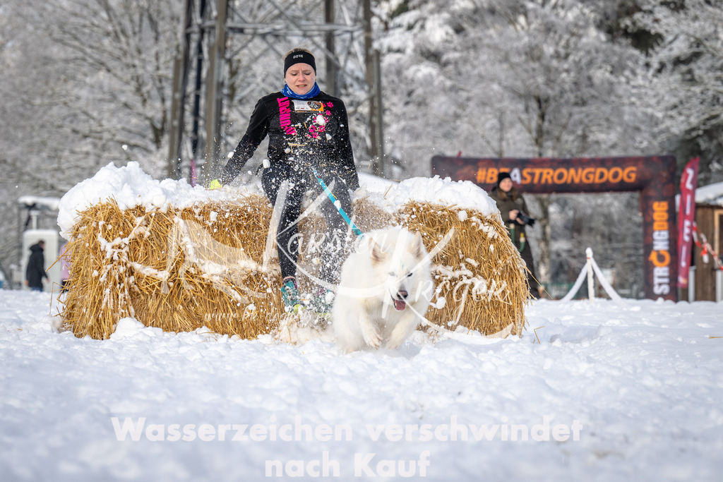 0852_ZZ92522 | kk-dogfotos