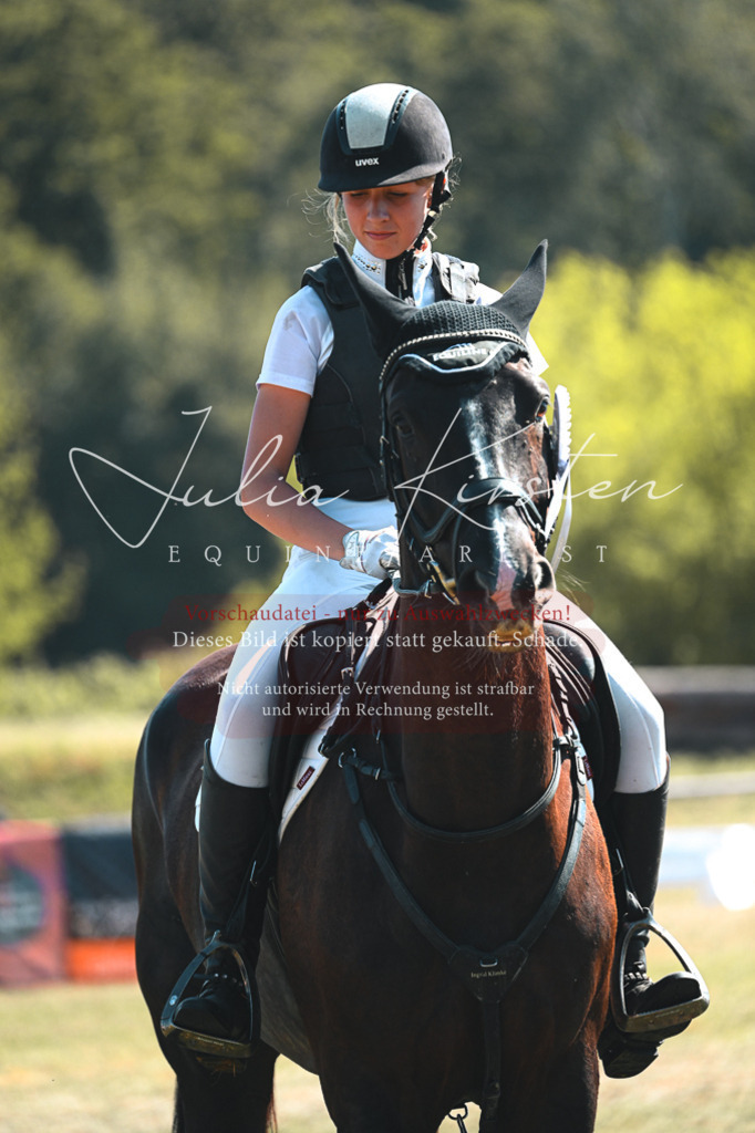 DSC_8406 | Pferde- und Turnierfotografie in Westsachsen. Pferdeportraits, Auftragszeichnungen und intuitive Kunst.