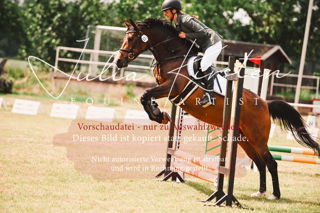 DSC_6918 | Pferde- und Turnierfotografie in Westsachsen. Pferdeportraits, Auftragszeichnungen und intuitive Kunst.