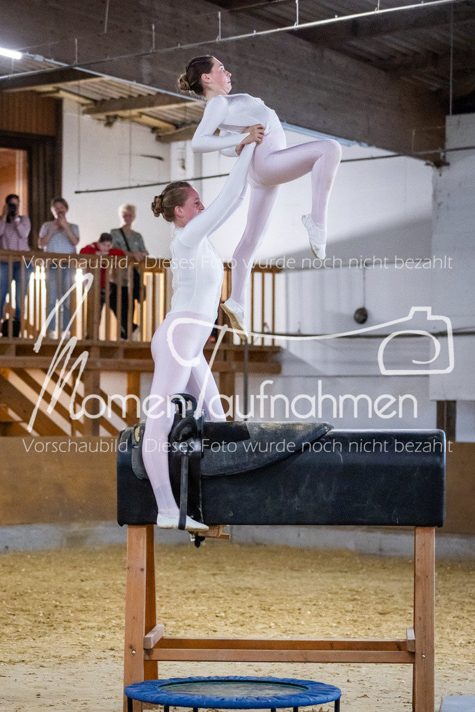 Holzpferd-111 | MomenTaufnahmen Pferdesportfotos