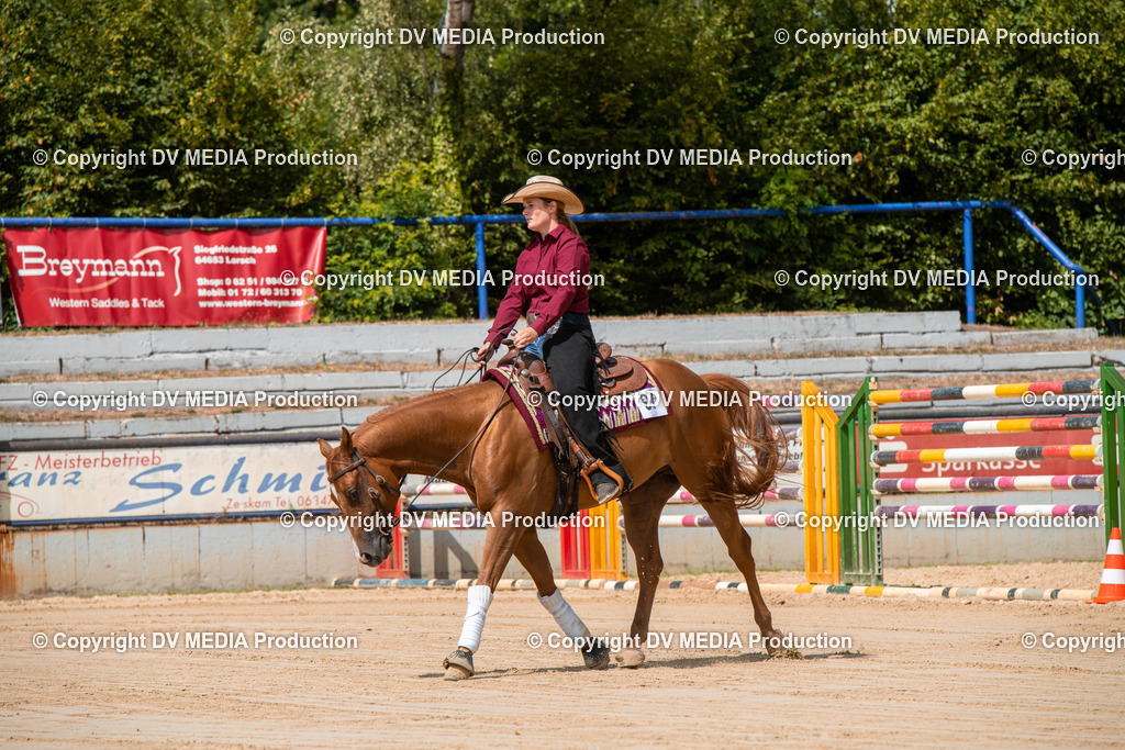 ZS3_9548 | dv-media-shop - Realisiert mit Pictrs.com