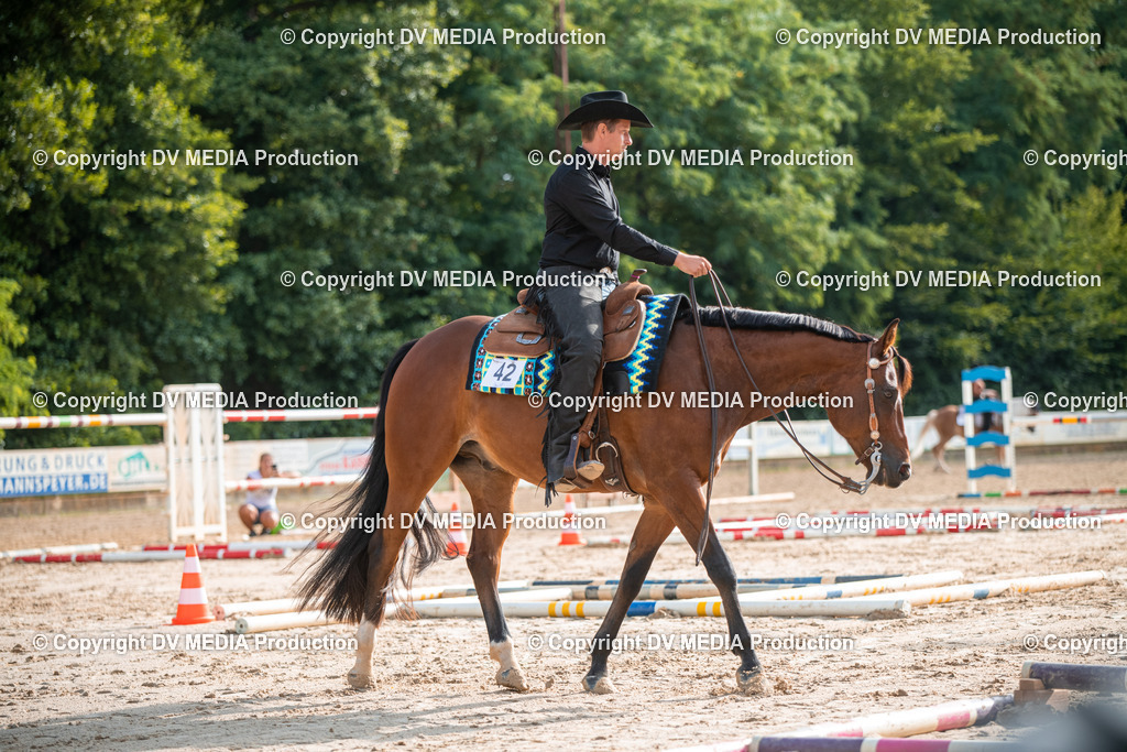 ZS3_9112 | dv-media-shop - Realisiert mit Pictrs.com