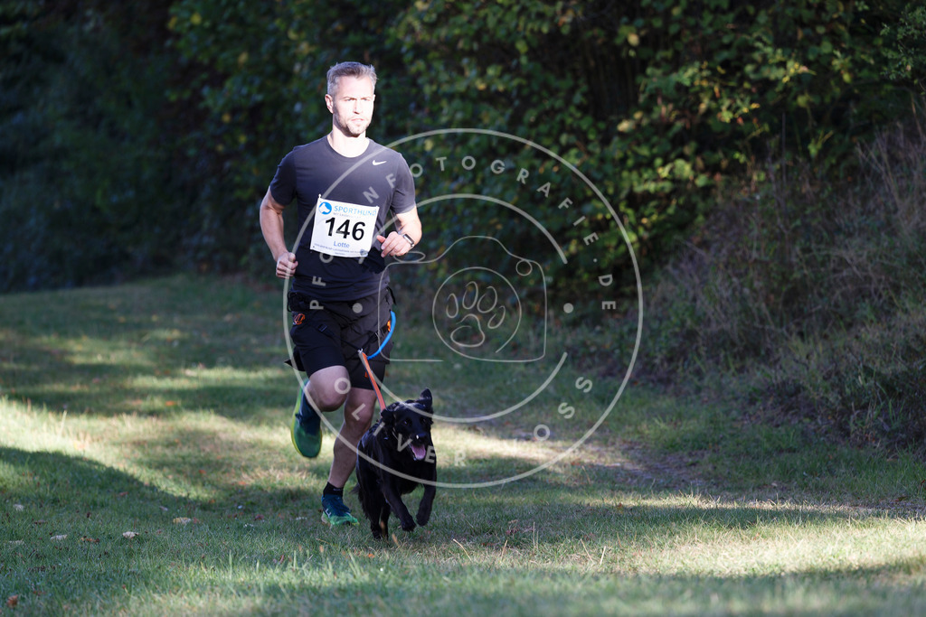 0L8A5014 | Hundefotografie, Tierfotograf, Pfotenfotografie, Fotoshooting Hund, Hunde Portrait, Hundesport, Hundeportraits, Heideshooting, Hunde, Sportfotograf, Hundefotograf, Turnierhundsport, THS,  - Realisiert mit Pictrs.com