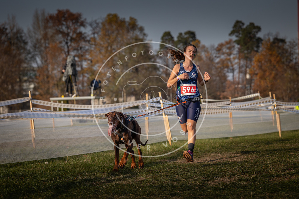 CaniXpix_0L8A0055 | Hundefotografie, Tierfotograf, Pfotenfotografie, Fotoshooting Hund, Hunde Portrait, Hundesport, Hundeportraits, Heideshooting, Hunde, Sportfotograf, Hundefotograf, Turnierhundsport, THS,  - Realisiert mit Pictrs.com