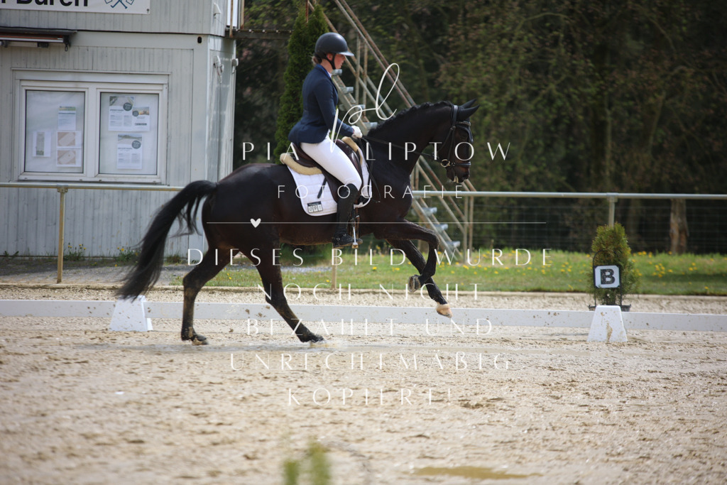 IMGT2684 | pl-fotografie