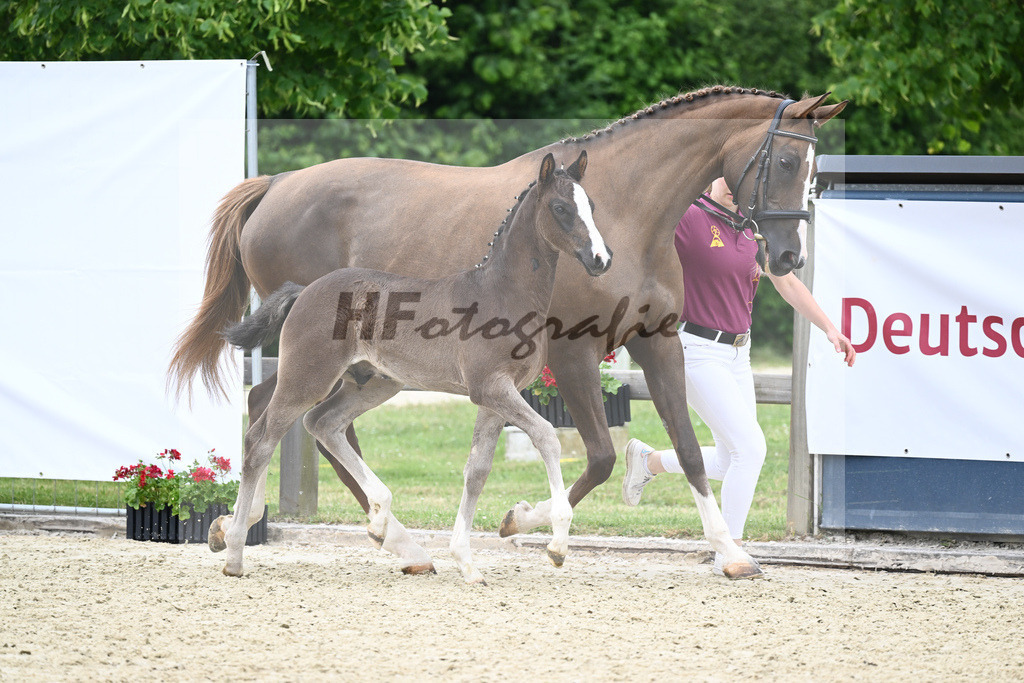 Kat-Nr. 21 HF Vigaro_Schroetzlmair_17230632 | hf-fotografie - Realizzato con Pictrs.com